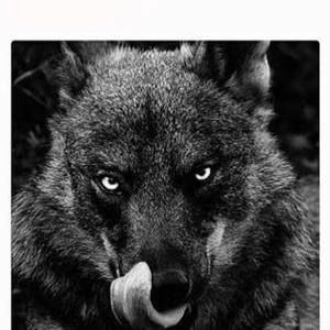 Meet your Posher, D.j.